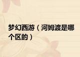 梦幻西游（河姆渡是哪个区的）