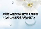 家里路由器网速变慢了怎么回事啊（为什么家里网速突然变慢了）