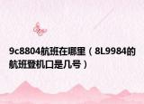 9c8804航班在哪里（8L9984的航班登机口是几号）