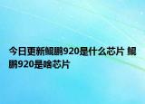 今日更新鲲鹏920是什么芯片 鲲鹏920是啥芯片