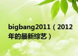 bigbang2011（2012年的最新综艺）