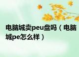 电脑城卖peu盘吗（电脑城pe怎么样）