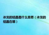 冰龙的结晶是什么意思（冰龙的结晶在哪）