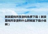 新浪爱问共享资料免费下载（新浪爱问共享资料什么时候能下载小说啊）