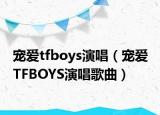 宠爱tfboys演唱（宠爱 TFBOYS演唱歌曲）