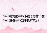flash格式的mtv下载（怎样下载flash或者mtv到手机???\）
