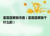 霍震霆家族市值（霍震霆家族干什么的）