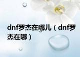 dnf罗杰在哪儿（dnf罗杰在哪）