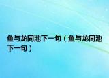 鱼与龙同池下一句（鱼与龙同池下一句）