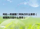 判处一年缓期二年执行什么意思（缓期执行是什么意思）