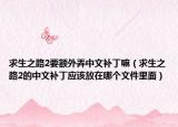 求生之路2要额外弄中文补丁嘛（求生之路2的中文补丁应该放在哪个文件里面）
