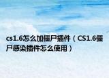 cs1.6怎么加僵尸插件（CS1.6僵尸感染插件怎么使用）