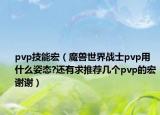 pvp技能宏（魔兽世界战士pvp用什么姿态?还有求推荐几个pvp的宏谢谢）