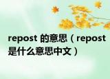 repost 的意思（repost是什么意思中文）