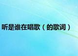 听是谁在唱歌（的歌词）