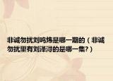 非诚勿扰刘鸣炜是哪一期的（非诚勿扰里有刘泽浔的是哪一集?）