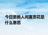 今日更新人间富贵花是什么意思