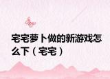 宅宅萝卜做的新游戏怎么下（宅宅）