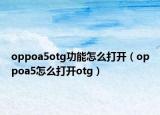 oppoa5otg功能怎么打开（oppoa5怎么打开otg）