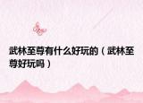 武林至尊有什么好玩的（武林至尊好玩吗）