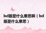 bd版是什么意思啊（bd版是什么意思）