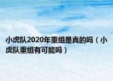小虎队2020年重组是真的吗（小虎队重组有可能吗）