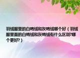 羽绒服里的白鸭绒和灰鸭绒哪个好（羽绒服里面的白鸭绒和灰鸭绒有什么区别?哪个更好?）