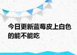 今日更新蓝莓皮上白色的能不能吃