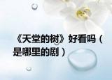 《天堂的树》好看吗（是哪里的剧）