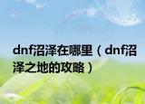 dnf沼泽在哪里（dnf沼泽之地的攻略）