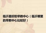 临沂最好的早教中心（临沂哪里的早教中心比较好）