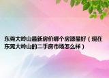 东莞大岭山最新房价哪个房源最好（现在东莞大岭山的二手房市场怎么样）