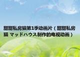 甜甜私房猫第1季动画片（甜甜私房猫 マッドハウス制作的电视动画）