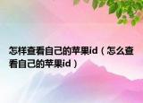怎样查看自己的苹果id（怎么查看自己的苹果id）