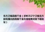 东方卫视真假千金（求昨天辽宁卫视北方影院播出的真假千金在线观看或者下载地址）