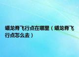 蟠龙脊飞行点在哪里（蟠龙脊飞行点怎么去）