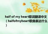 half of my heart歌词翻译中文（halfofmyheart歌曲表达什么）