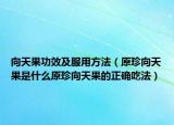 向天果功效及服用方法（原珍向天果是什么原珍向天果的正确吃法）