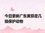 今日更新广东黄猄是几级保护动物