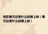 电影奉天往事什么时候上映（奉天往事什么时候上映）