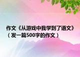 作文《从游戏中我学到了语文》（发一篇500字的作文）