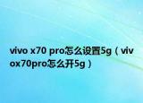 vivo x70 pro怎么设置5g（vivox70pro怎么开5g）