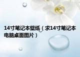 14寸笔记本壁纸（求14寸笔记本电脑桌面图片）