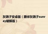 灰鸽子安卓版（跪俅灰鸽子sunray破解版）
