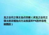 龙之谷月之领主加点攻略（求龙之谷月之领主的详细加点方法我喜欢PK的并非纯刷图的）