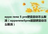 oppo reno 5 pro键盘震动怎么取消（opporeno5pro返回键震动怎么取消）