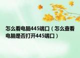 怎么看电脑445端口（怎么查看电脑是否打开445端口）