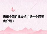 扬州个园竹林介绍（扬州个园景点介绍）