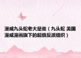 漫威九头蛇老大是谁（九头蛇 美国漫威漫画旗下的超级反派组织）