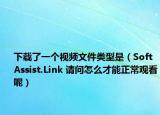 下载了一个视频文件类型是（SoftAssist.Link 请问怎么才能正常观看呢）